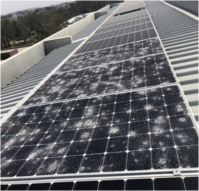 Fig.2: Modules destroyed after hailstorms (Australia)