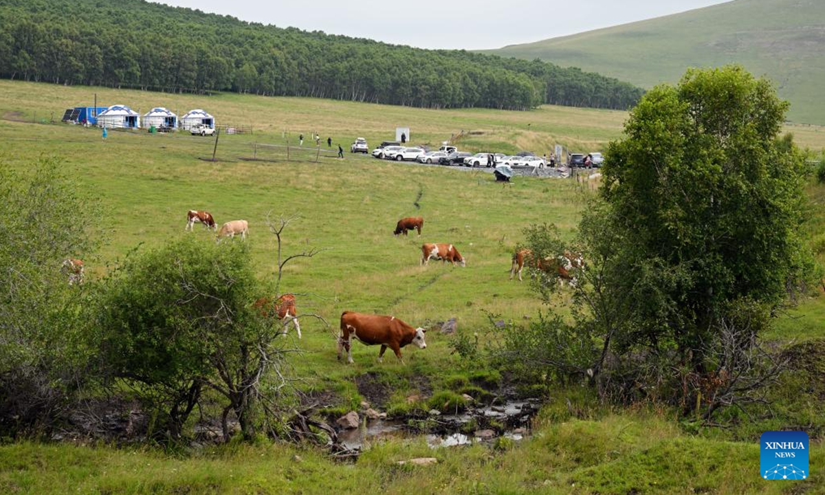 This photo taken on July 24, 2025 shows a homestay at a grassland in Hexigten Banner of Chifeng City, north China's Inner Mongolia Autonomous Region. (Photo by Ma Weibing/Xinhua)

