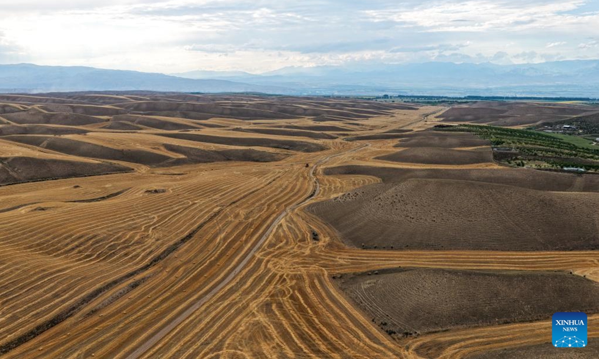 An aerial drone photo taken on July 31, 2025 shows wheat fields in Tekes County, Ili Kazak Autonomous Prefecture, northwest China's Xinjiang Uygur Autonomous Region. Mature wheat is ready for harvest in Tekes. Local farmers are seizing favorable weather conditions to conduct summer harvesting. (Xinhua/Zhao Yusi)