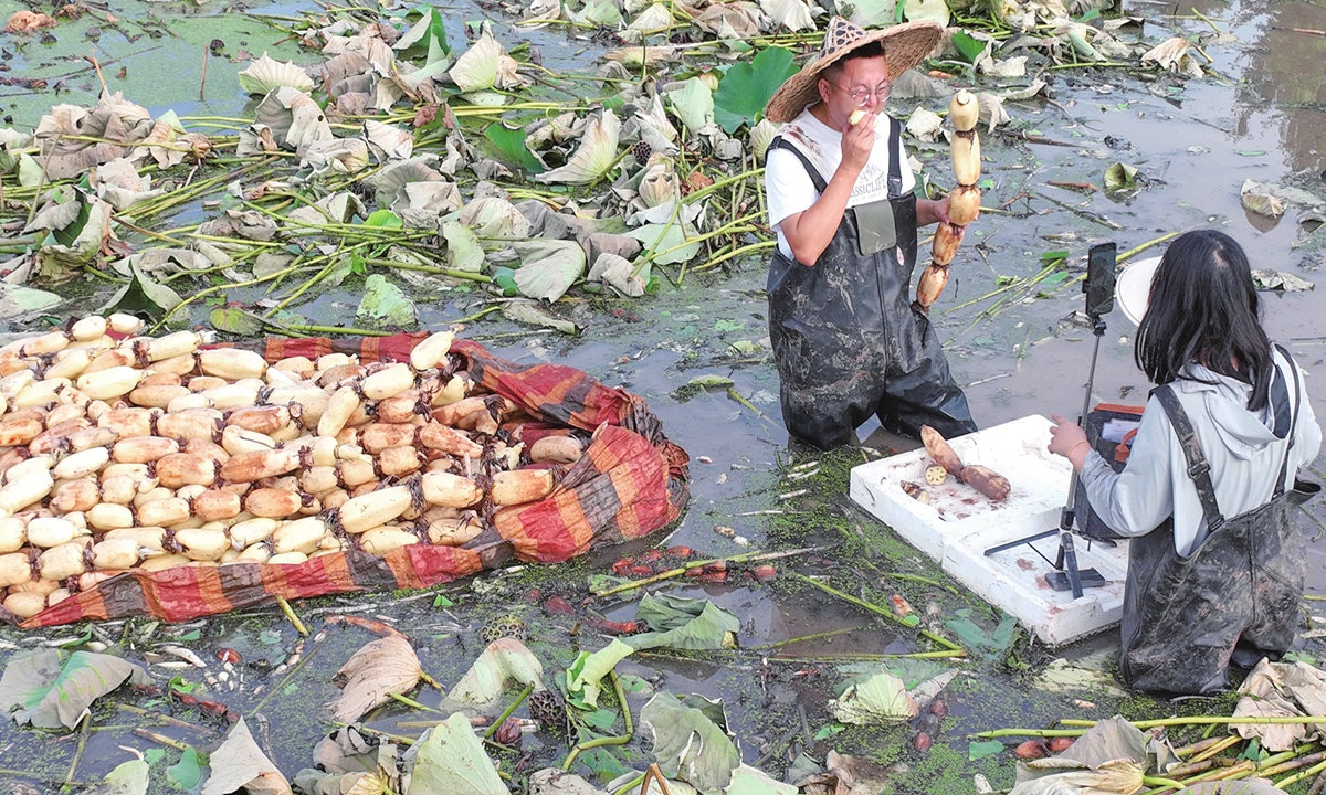 A lotus root harvester livestreams from a base in Southwest China's Chongqing Municipality on July 23, 2025. The industry has become an important booster for rural revitalization of the local population. Photo: VCG