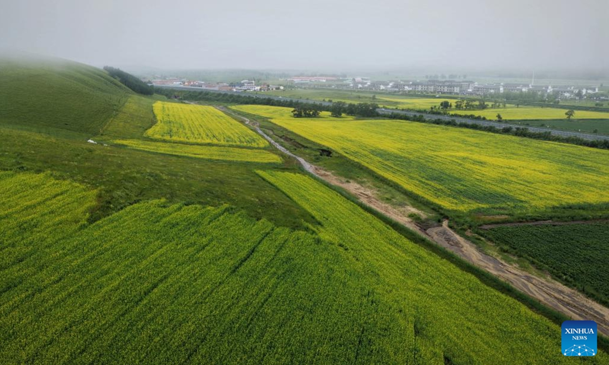 An aerial drone photo taken on July 26, 2025 shows the scenery of the grasslands in Bashang area of Fengning Manchu Autonomous County, Chengde, north China's Hebei Province. (Xinhua/Xing Guangli)