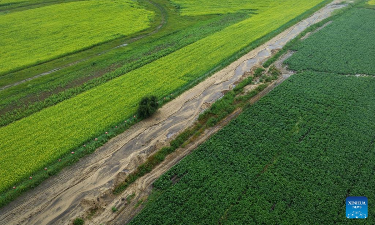An aerial drone photo taken on July 26, 2025 shows the scenery of the grasslands in Bashang area of Fengning Manchu Autonomous County, Chengde, north China's Hebei Province. (Xinhua/Xing Guangli)