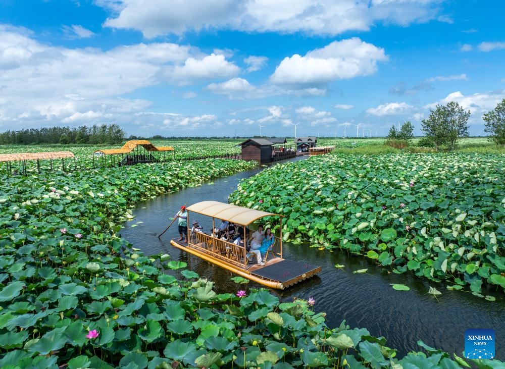 A drone photo taken on July 26, 2025 shows tourists enjoying lotus flowers in a boat at a scenic area in Xinghua, east China's Jiangsu Province. With heat waves gripping many regions across the country, diverse cooling tourism events, such as water-related activities and night tours, have grown in popularity, invigorating the summer economy. (Photo: Xinhua)