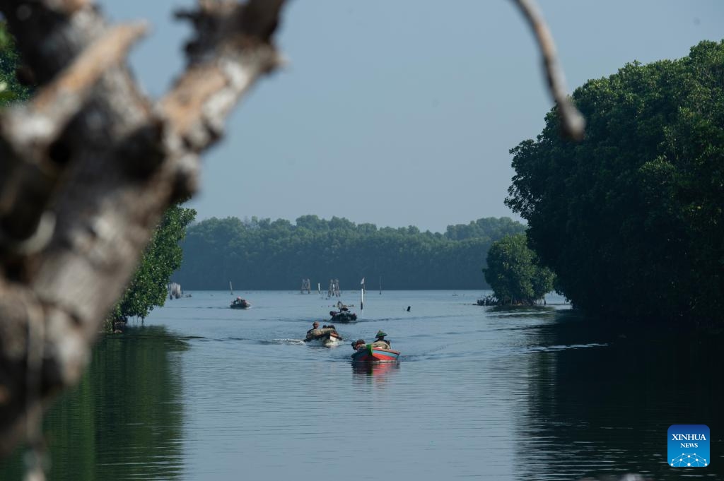 Fishing boats return home along a river, flanked by mangrove trees, at Tarumajaya village of Bekasi district, in West Java province, Indonesia, July 26, 2025. July 26 marks the International Day for the Conservation of the Mangrove Ecosystem. Adopted by the General Conference of the United Nations Educational, Scientific and Cultural Organisation (UNESCO) in 2015, this special day aims to raise awareness of the importance of mangrove ecosystems as unique, special and vulnerable ecosystem and to promote solutions for their sustainable management, conservation and uses. (Photo: Xinhua)