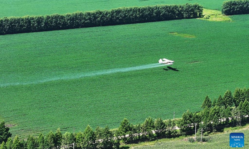 An aerial drone photo taken on July 25, 2025 shows an agricultural aircraft flying above a soybean field at the Beidahuang Group Heilongjiang Hongxing Farm in Bei'an, northeast China's Heilongjiang Province. Aerial crop protection operations have commenced across various agricultural production units of the Beidahuang Group, covering more than 30 million mu (about 2 million hectares) of dry farmlands.（Photo: Xinhua)