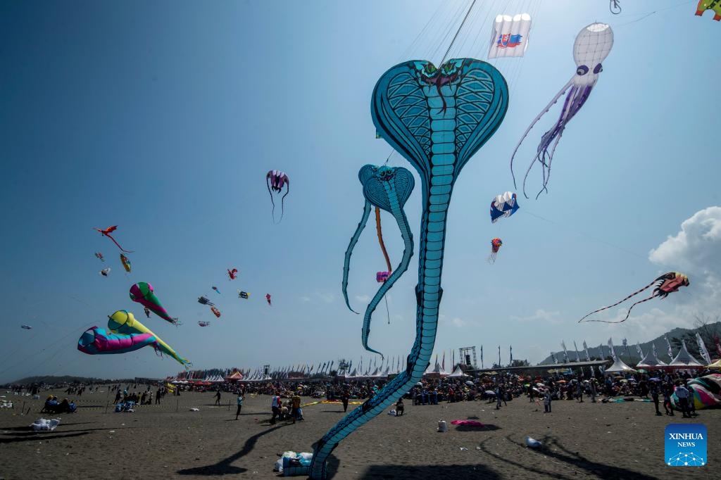 Participants fly their kites during the Jogja International Kite Festival 2025 at Parangkusumo beach in Yogyakarta, Indonesia, July 27, 2025.（Photo: Xinhua)
