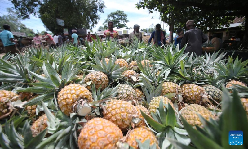 This photo taken on July 25, 2025 shows a local pineapple wholesale market in Tangail, Bangladesh. Tangail is the largest pineapple cultivation area in Bangladesh.(Photo: Xinhua)