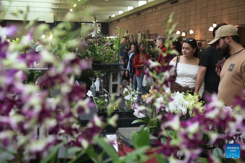 People visit an orchid expo in San Francisco, the United States, July 26, 2025. The two-day orchid expo kicked off at the Golden Gate Park in San Francisco on Saturday.（Photo: Xinhua)