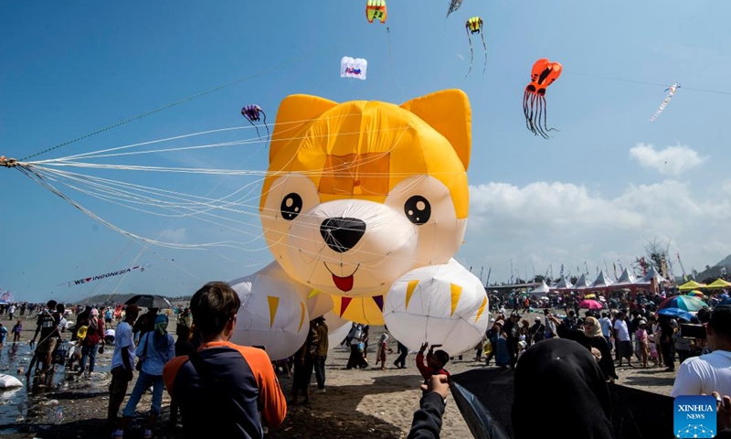 Participants fly their kites during the Jogja International Kite Festival 2025 at Parangkusumo beach in Yogyakarta, Indonesia, July 27, 2025.（Photo: Xinhua)