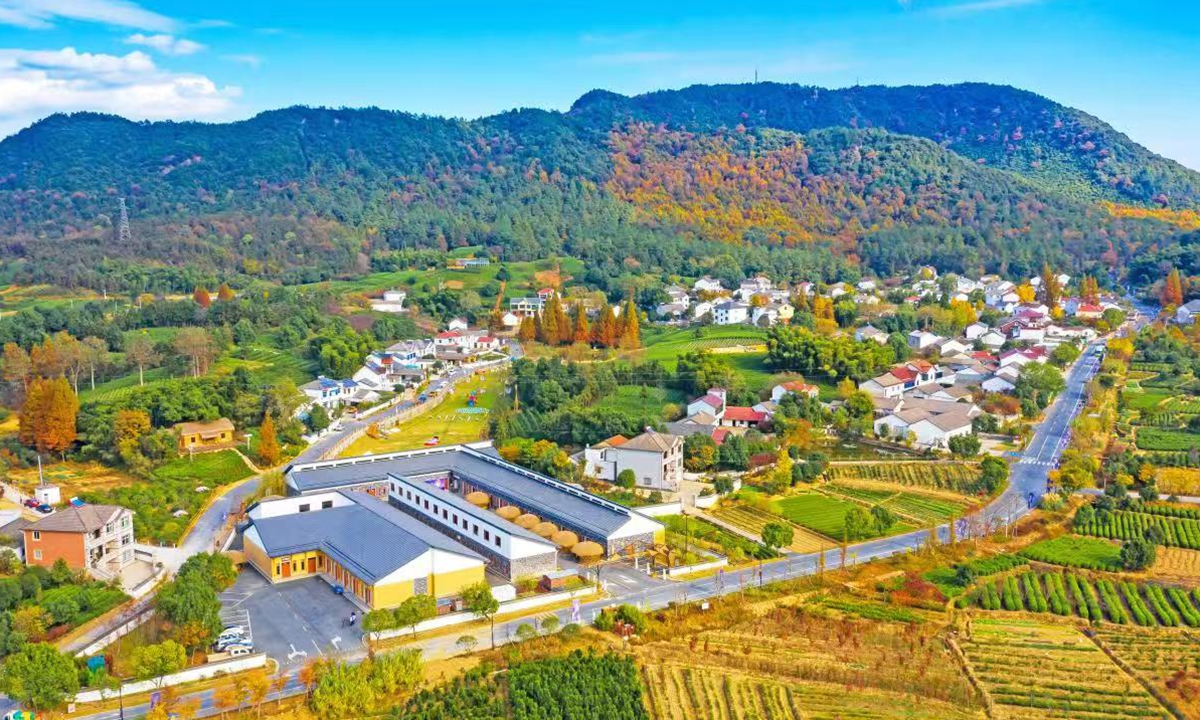 An aerial view of Yucun Village, Anji County of Huzhou, East China's Jiangsu Porvince Photo: Wu Menglu