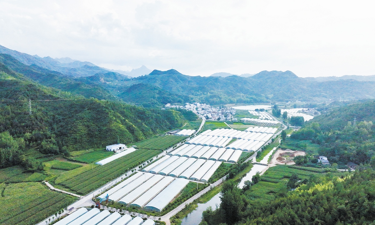 Aerial view of the smart-drip vegetable base in Shangwan Village, Fangxian County of Shiyan, Central China's Hubei Province, on June 29, 2025. Photo: VCG