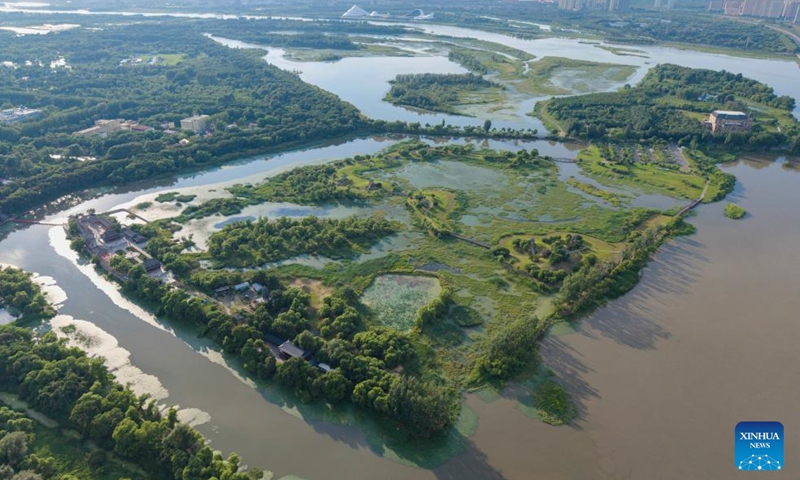 An aerial drone photo taken on Aug. 1, 2025 shows a view of the Taiyangdao (Sun Island) National Wetland Park in Harbin, northeast China's Heilongjiang Province. Located on the north bank of the Songhua River in Harbin, the Taiyangdao (Sun Island) National Wetland Park has a wetland area of more than 7,000 hectares, with a high wetland rate of more than 70 percent. Among them, the Sun Island Scenic Area is one of the few riverfront wetland grassland ecological zones lying in the city center in China.

In midsummer, the charming scenery of the vibrant urban ecological island attracts numerous tourists. Photo: Xinhua