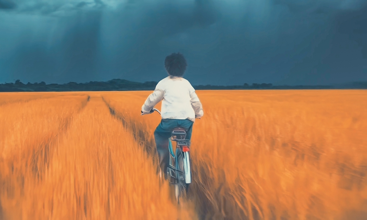 The golden wheat fields in Wang Shiyue's AI short film Photo: Courtesy of Wang Shiyue
