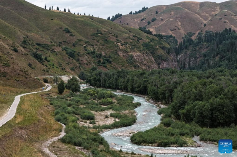 A drone photo taken on Aug. 2, 2025 shows a view of Koldeneng in Gongliu County of Ili Kazak Autonomous Prefecture, northwest China's Xinjiang Uygur Autonomous Region. Photo: Xinhua