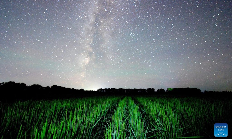 This photo taken on July 28, 2025 shows a paddy field under the starry sky in Heihe City, northeast China's Heilongjiang Province. Heilongjiang Province, a major agricultural producer dubbed China's grain barn, have seen its crops enter the ripening stage recently. Photo: Xinhua