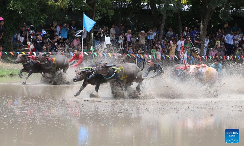 Racers compete during a buffalo race to celebrate the start of paddy-sowing season in Chonburi, Thailand, Aug. 3, 2025. Photo: Xinhua