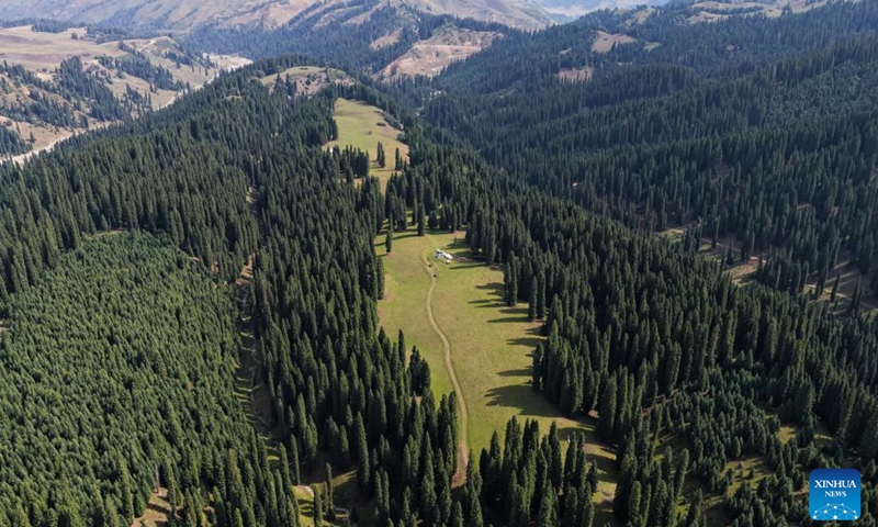 An aerial drone photo taken on Aug. 2, 2025 shows a view of Koldeneng in Gongliu County of Ili Kazak Autonomous Prefecture, northwest China's Xinjiang Uygur Autonomous Region. Photo: Xinhua