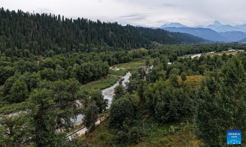 An aerial drone photo taken on Aug. 2, 2025 shows a view of Koldeneng in Gongliu County of Ili Kazak Autonomous Prefecture, northwest China's Xinjiang Uygur Autonomous Region. Photo: Xinhua