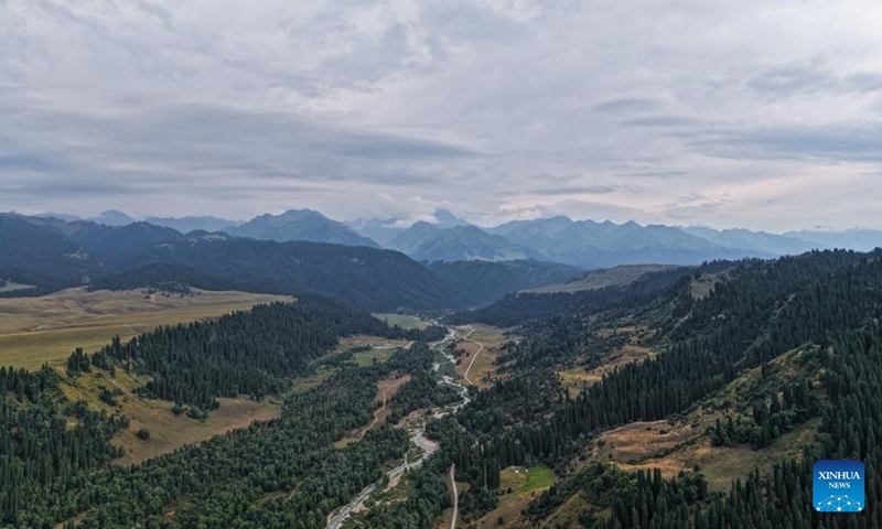 An aerial drone photo taken on Aug. 2, 2025 shows a view of Koldeneng in Gongliu County of Ili Kazak Autonomous Prefecture, northwest China's Xinjiang Uygur Autonomous Region. Photo: Xinhua