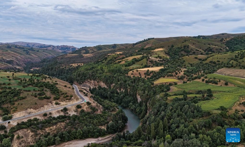An aerial drone photo taken on Aug. 2, 2025 shows a view of Koldeneng in Gongliu County of Ili Kazak Autonomous Prefecture, northwest China's Xinjiang Uygur Autonomous Region. Photo: Xinhua