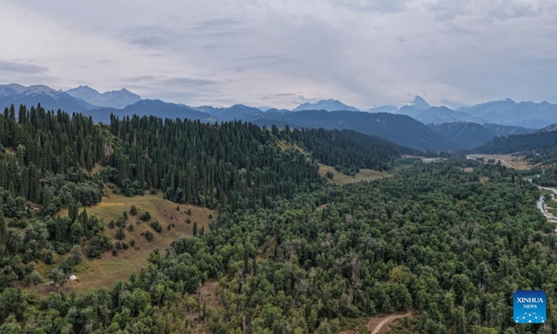 An aerial drone photo taken on Aug. 2, 2025 shows a view of Koldeneng in Gongliu County of Ili Kazak Autonomous Prefecture, northwest China's Xinjiang Uygur Autonomous Region. Photo: Xinhua