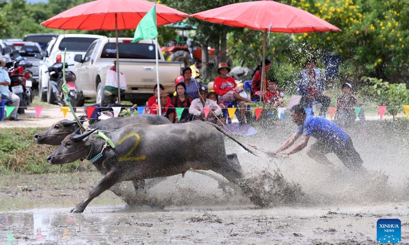 A racer competes during a buffalo race to celebrate the start of paddy-sowing season in Chonburi, Thailand, Aug. 3, 2025. Photo: Xinhua