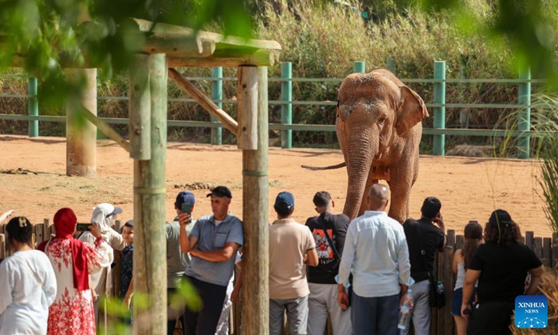 People visit the Rabat Zoo in Rabat, Morocco, on Aug. 2, 2025. Photo: Xinhua