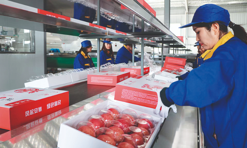 Workers pack apples at a sorting center in Nangou village, Northwest China's Shaanxi Province. Photo: Courtesy of China Rural Revitalization magazine