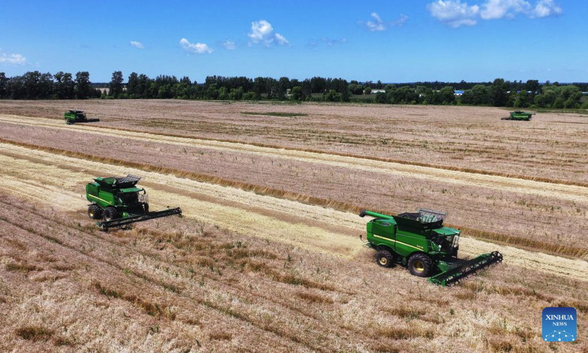 An aerial drone photo taken on Aug. 5, 2025 shows combine harvesters harvesting wheat in the field in Beian City, northeast China's Heilongjiang Province. Heilongjiang Province, a major agricultural producer dubbed China's grain barn, has seen its crops entering the ripening stage. (Photo by Hou Yue/Xinhua)