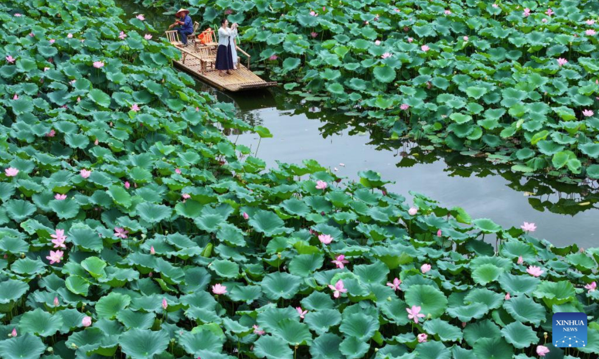 An aerial drone photo taken on July 22, 2025 shows a tourist enjoying the view of lotus flowers in Chengkan ancient Village of Huizhou District, Huangshan City, east China's Anhui Province. (Photo by Shi Yalei/Xinhua)