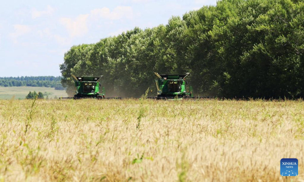 Combine harvesters harvest wheat in the field in Beian City, northeast China's Heilongjiang Province, Aug. 5, 2025. Heilongjiang Province, a major agricultural producer dubbed China's grain barn, has seen its crops entering the ripening stage. (Photo by Hou Yue/Xinhua)