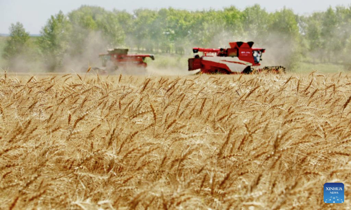 Combine harvesters harvest wheat in the field in Heihe City, northeast China's Heilongjiang Province, Aug. 5, 2025. Heilongjiang Province, a major agricultural producer dubbed China's grain barn, has seen its crops entering the ripening stage. (Photo by Lu Wenxiang/Xinhua)