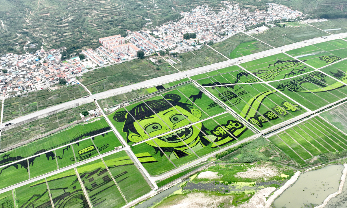 A giant rice paddy artwork featuring the character Nezha debuts in Shexian County, Handan, North China’s Hebei Province, on August 6, 2025. Photo: VCG