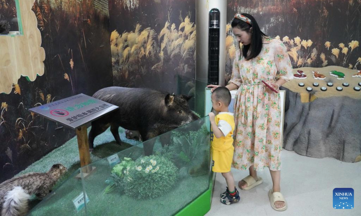 People visit an exhibition hall at the Lalikun wetland nature reserve in Moyu County of Hotan Prefecture, northwest China's Xinjiang Uygur Autonomous Region, Aug. 6, 2025. In Xinjiang, new wetlands such as the Manas national wetland park and the Lalikun wetland nature reserve have emerged near the border of Gurbantunggut Desert and Taklimakan Desert, acting as important ecological shelters for migrant birds and safeguarding the biodiversity and oases in the region. (Xinhua/Zhou Jiayi)