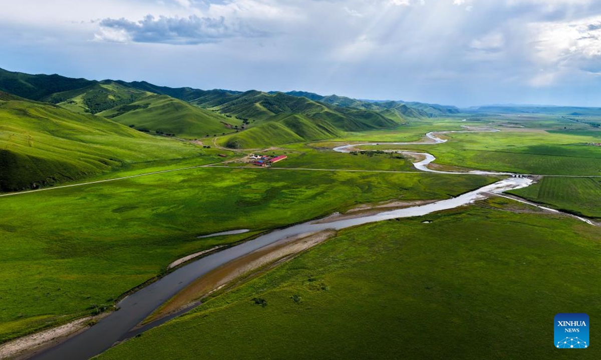An aerial drone photo shows the scenery of the Wulanmaodu pasture in Horqin Right Wing Front Banner, Hinggan League, north China's Inner Mongolia Autonomous Region, Aug. 9, 2025. (Xinhua/Ma Jinrui)