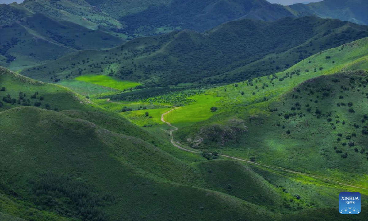 An aerial drone photo taken on July 28, 2025 shows a view of the grassland in Jarud Banner of Tongliao City, north China's Inner Mongolia Autonomous Region. The grassland, located in the northwest of Tongliao and at the south foot of the Greater Khingan Mountains, presents picturesque scenery during the rainy seasons. (Xinhua/Lian Zhen)