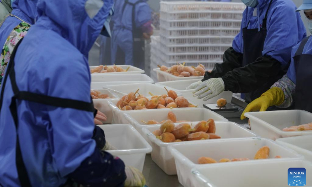 Workers sort out mango-flavored ice pops at a mango processing company in Tiandong County of Baise, south China's Guangxi Zhuang Autonomous Region, July 23, 2025. (Xinhua/Zhao Huan)
