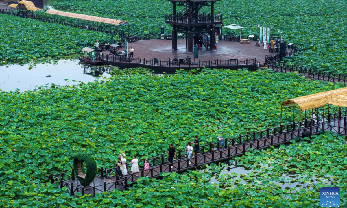 An aerial drone photo taken on Aug. 13, 2025 shows a view of a lotus pond scenic area in Xinghua City, east China's Jiangsu Province. People enjoy their summer time by travelling around the country. (Photo by Zhou Shegen/Xinhua)