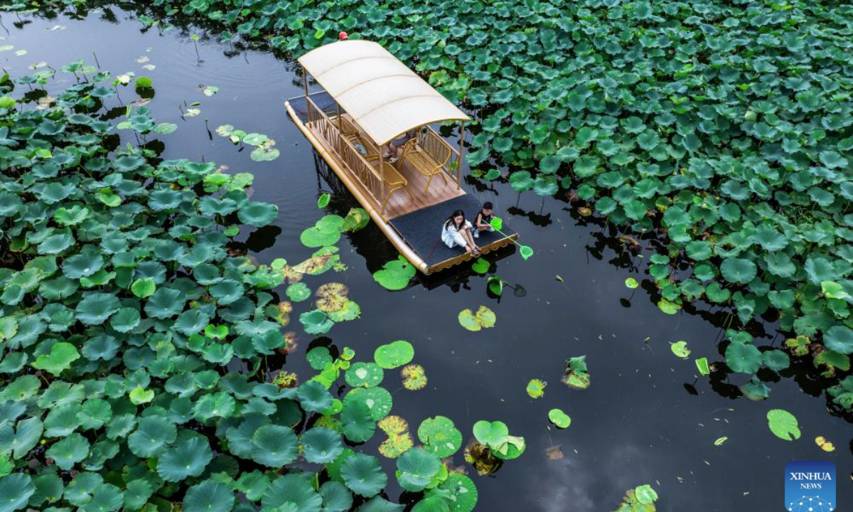 An aerial drone photo taken on Aug. 13, 2025 shows a view of a lotus pond scenic area in Xinghua City, east China's Jiangsu Province. People enjoy their summer time by travelling around the country. (Photo by Zhou Shegen/Xinhua)