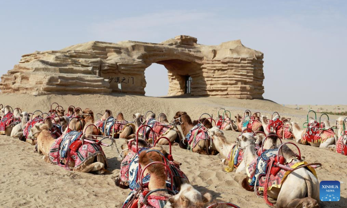 Camels are pictured at the desert gate scenic area in Alaer, northwest China's Xinjiang Uygur Autonomous Region, Aug. 12, 2025. The desert gate scenic area, covering an area of 14 hectares, receives an average of 600,000 visits annually. (Xinhua/Liu Jiaqi)