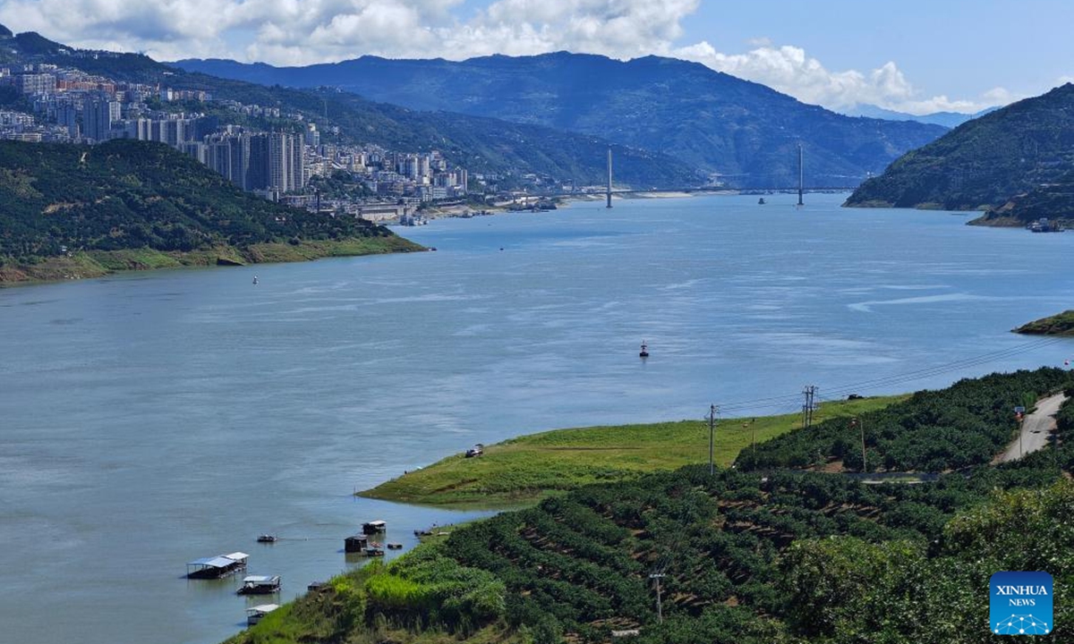 This photo taken on Aug. 13, 2025 shows a navel orange orchard on the bank of the Yangtze River in Daba Village of Fengjie County, southwest China's Chongqing Municipality. (Xinhua/Jiang Shengxiong)
