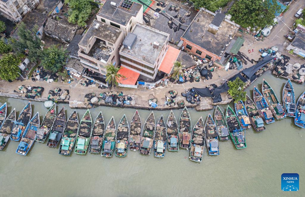 An aerial drone photo taken on Aug. 16, 2025 shows fishing vessels temporarily delayed from setting sail due to tropical depression at a port in Haikou, south China's Hainan Province. The three-and-a-half-month summer fishing moratorium in the South China Sea concluded at noon on Saturday. To ensure safety amid an ongoing tropical depression, the Hainan Provincial Department of Agriculture and Rural Affairs issued a notice urging fishermen to temporarily suspend fishing activities and to keep their vessels safely sheltered in port. (Xinhua/Pu Xiaoxu)