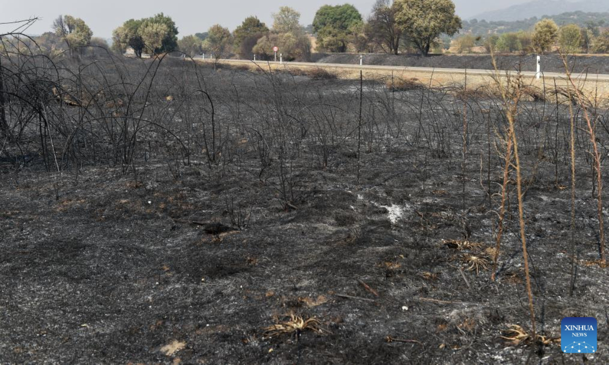 This photo taken on Aug. 18, 2025 shows the burned land in Caceres, Spain. The European Forest Fire Information System (EFFIS) reported on Monday that more than 343,000 hectares of land have burned in Spain so far in 2025, hitting a record high. (Photo by Gustavo Valiente/Xinhua)