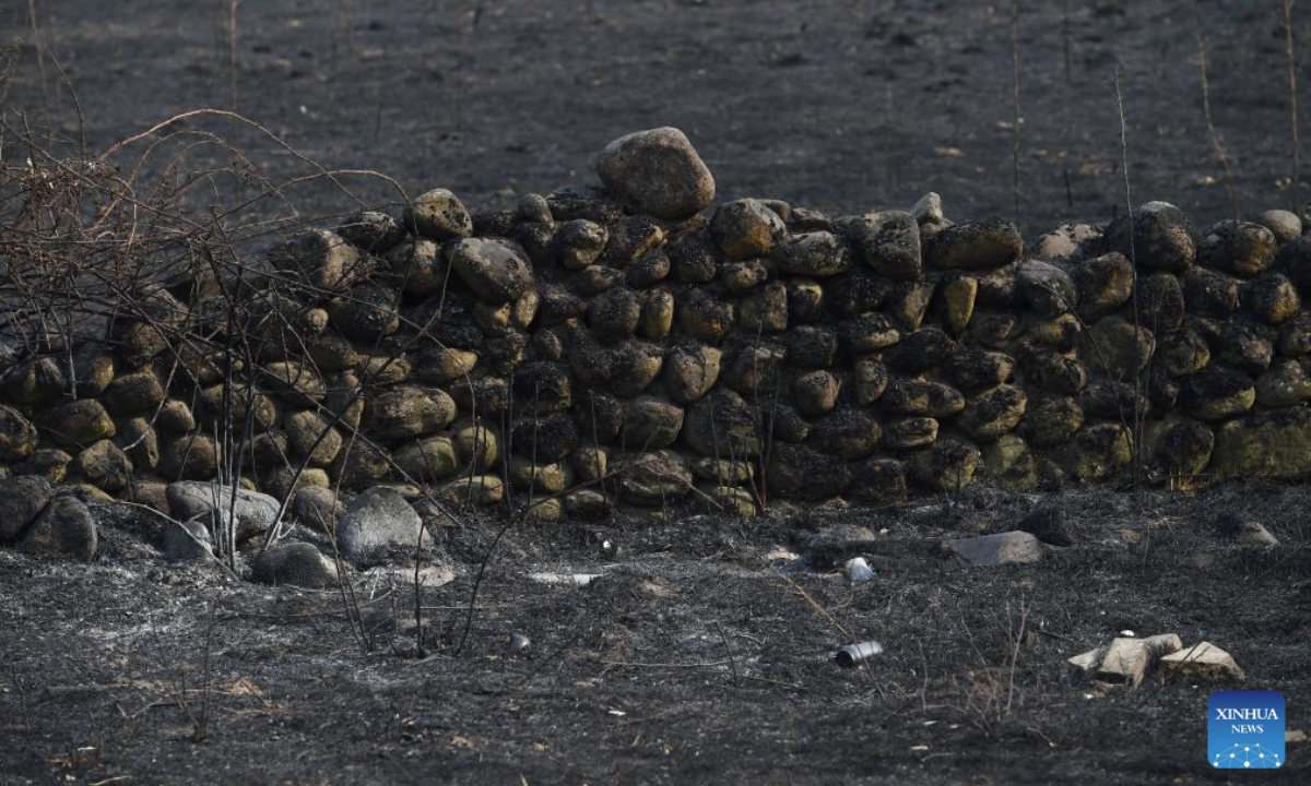 This photo taken on Aug. 18, 2025 shows the burned land in Caceres, Spain. The European Forest Fire Information System (EFFIS) reported on Monday that more than 343,000 hectares of land have burned in Spain so far in 2025, hitting a record high. (Photo by Gustavo Valiente/Xinhua)