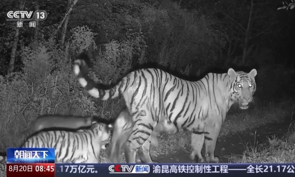 Photo: Screenshot from CCTV News