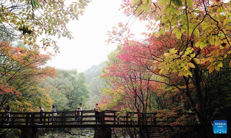 Tourists have fun at the Laobiangou scenic area in Benxi, northeast China's Liaoning Province, Oct. 1, 2025. The maple leaves here have entered the best viewing period during the National Day holiday. (Xinhua/Li Gang)