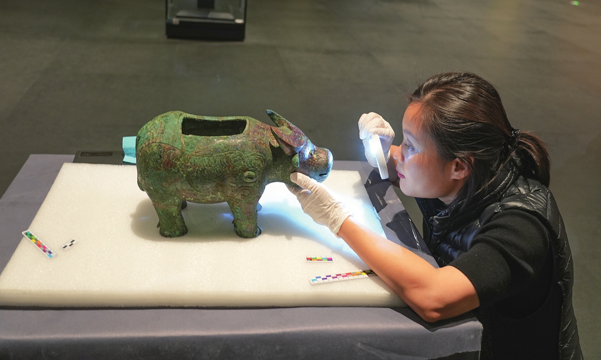 Researcher Yang Huan examines the original artifact of the Yinxu Ruins' bull-shaped bronze vessel. Photo: Courtesy of Yang Huan