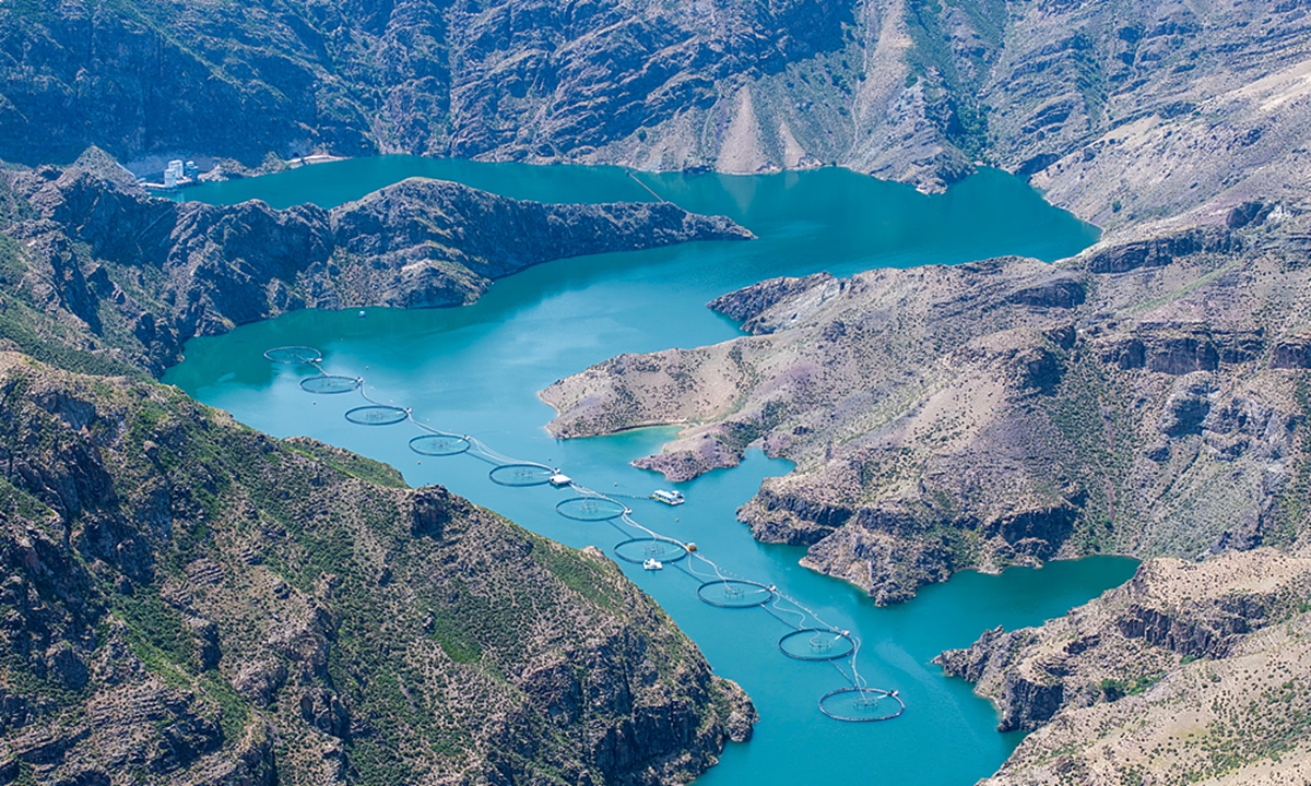  A salmon farm in Nilka County, Ili Kazak Autonomous Prefecture, Xinjiang Uygur Autonomous Region. Photo: VCG