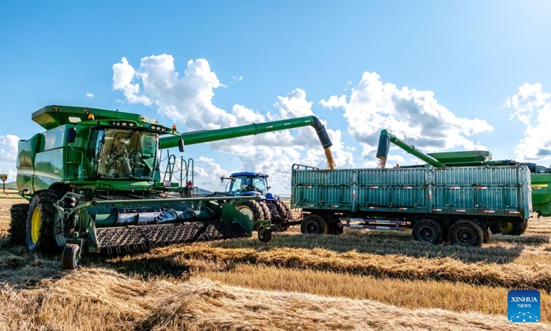 80% of winter wheat now sown as provinces race to advance autumn-winter planting