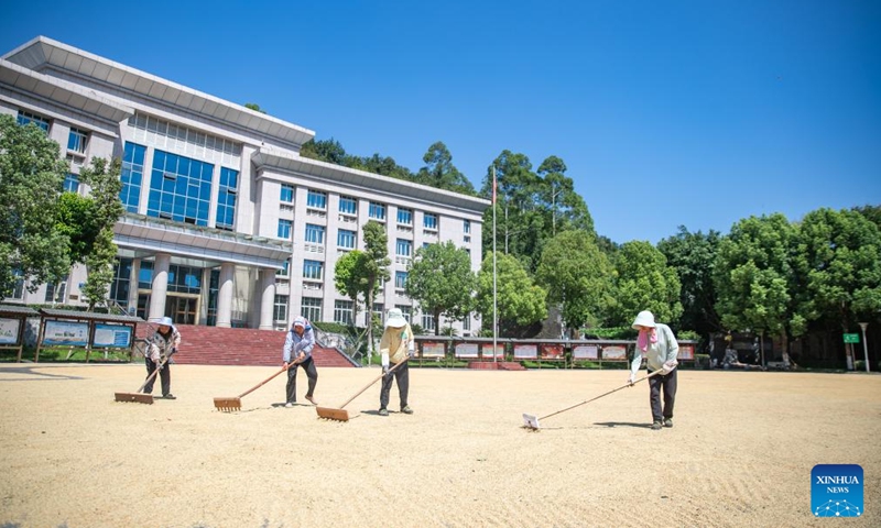 People dry grain at a government compound in Yongchuan District of southwest China's Chongqing Municipality, Aug. 20, 2025. In recent days, rice in Yongchuan District has entered the harvest season. Local government has provided public areas such as government compounds and cultural squares for farmers to dry grain. (Xinhua/Huang Wei)